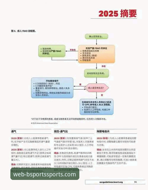 b体育最新版本实用指南：2025新版功能与手机端体验全解析